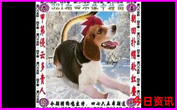 乐山旅游景点有哪些地方